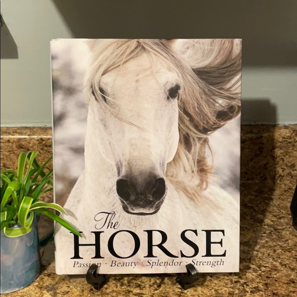 The Horse, passion, beauty, splendor, strength